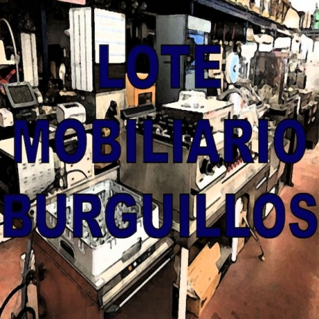 LOTE MOBILIARIO - BURGUILLOS